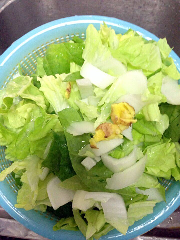 清炒白菜步骤1