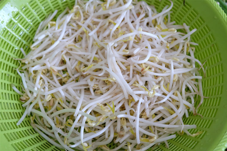 馓子炒绿豆芽步骤1