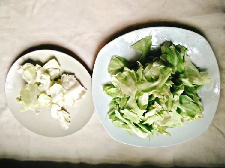 培根炒手撕包菜步骤2