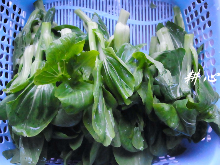 白灼菜薹步骤3