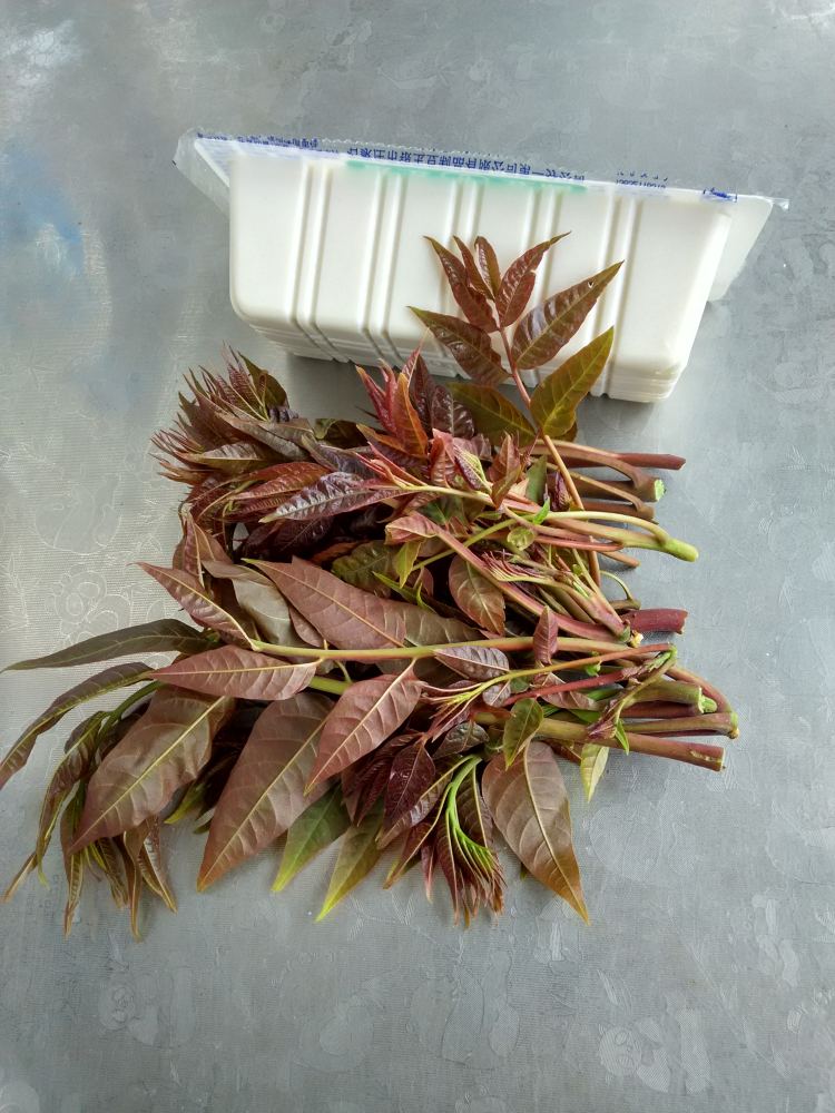 香椿芽拌豆腐步骤1
