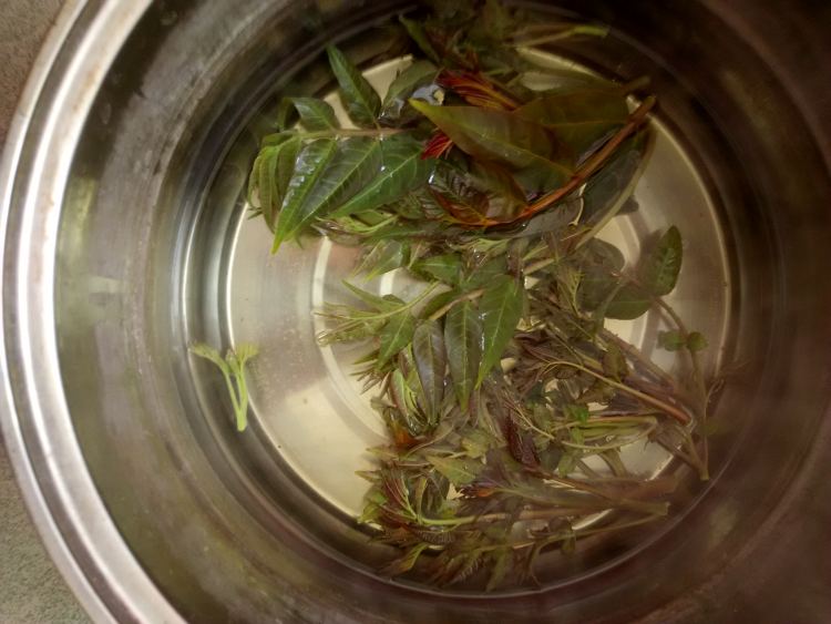 香椿芽拌豆腐步骤2