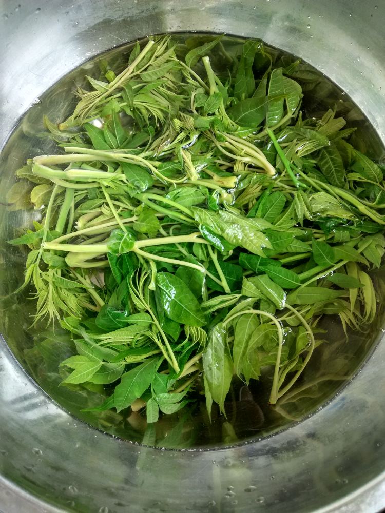 香椿芽拌豆腐步骤3