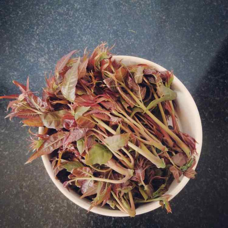 香椿芽炒鸡蛋步骤1