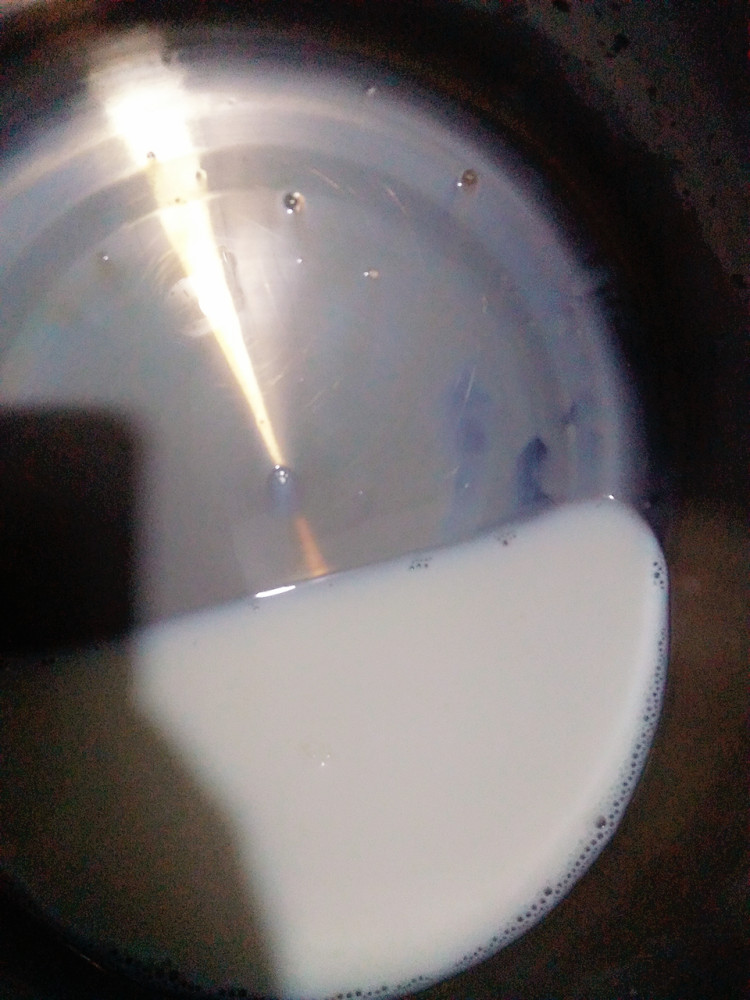 酸奶水果步骤3
