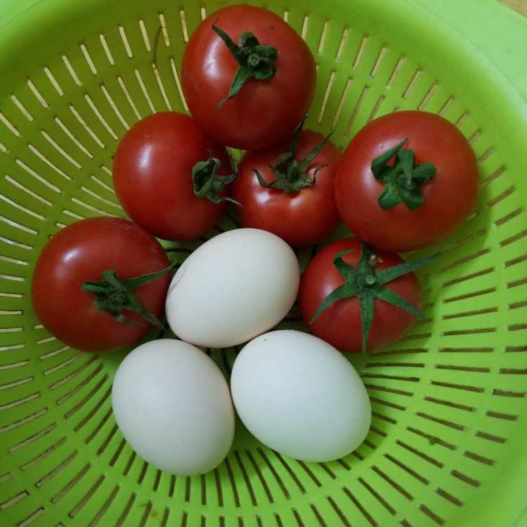 鸡蛋炒蕃茄步骤1
