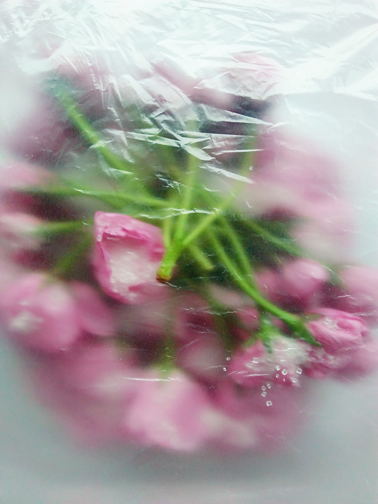 糖渍樱花步骤6