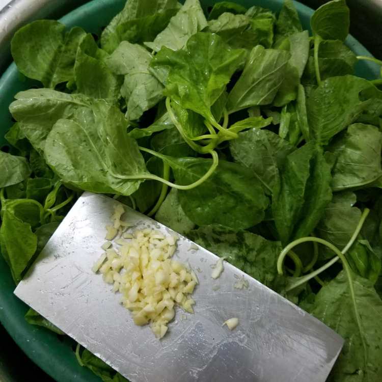 蒜蓉炒苋菜步骤2