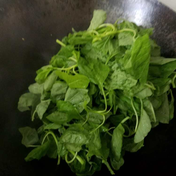 蒜蓉炒苋菜步骤4
