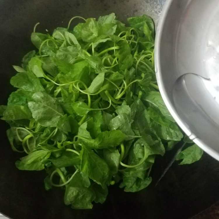 蒜蓉炒苋菜步骤5