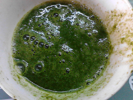 煎翡翠茼蒿蛋步骤4