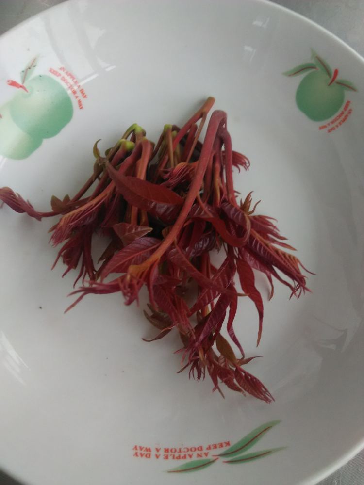 香椿芽鸡蛋饼步骤1