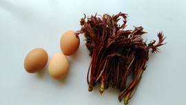香椿头炒鸡蛋步骤1