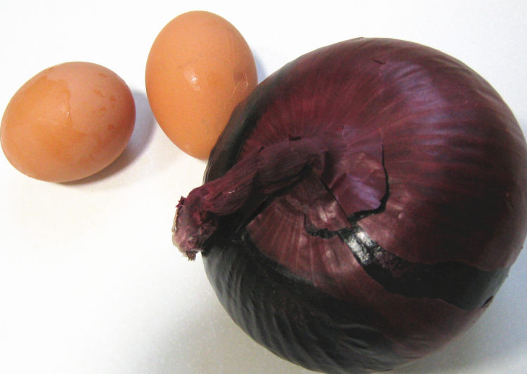 紫皮圆葱炒鸡蛋步骤1