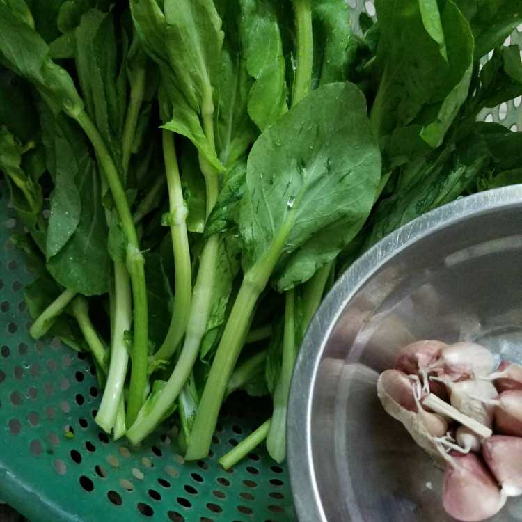 蒜蓉炒油菜心步骤1