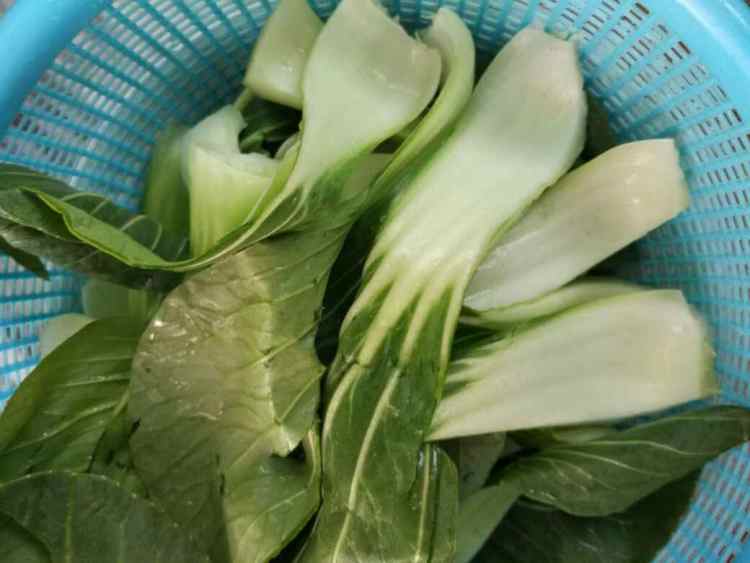 油豆腐烧上海青步骤3