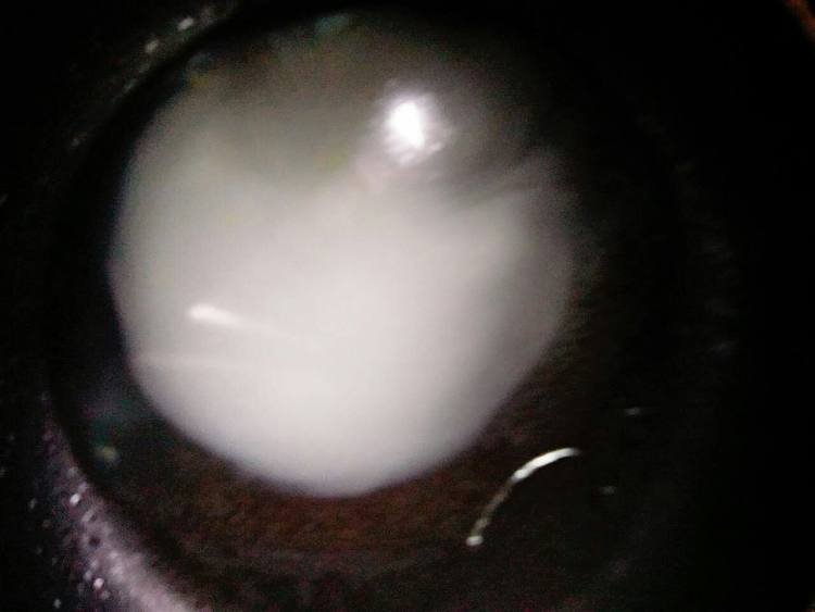 西兰花炒苹果步骤9