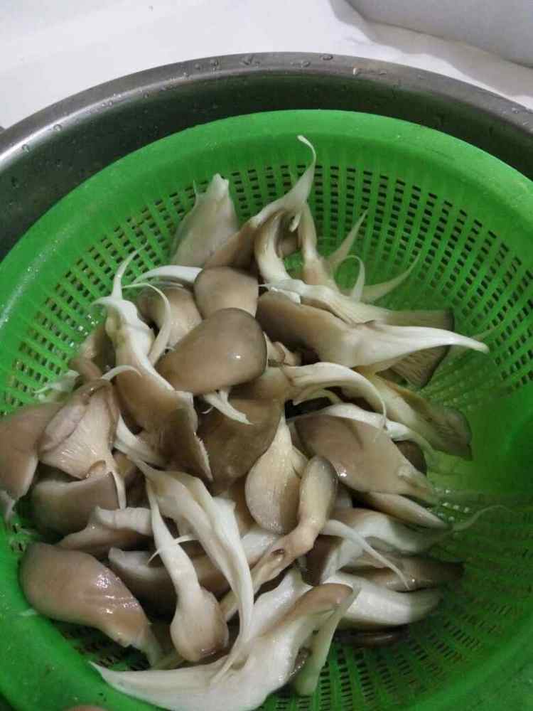 双椒平菇步骤1