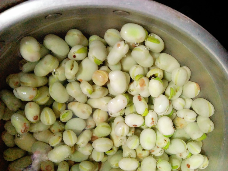 酸菜炒蚕豆步骤3