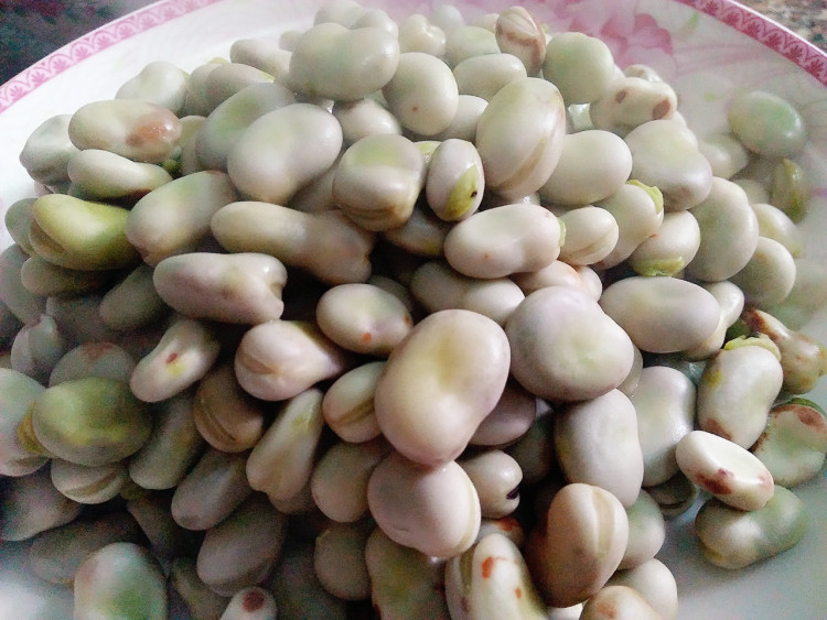 酸菜炒蚕豆步骤4