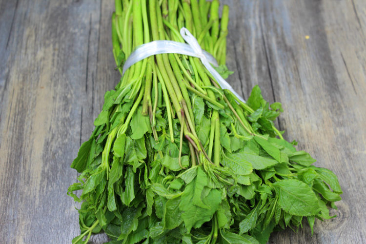 野菜飘香季——养生保步骤1
