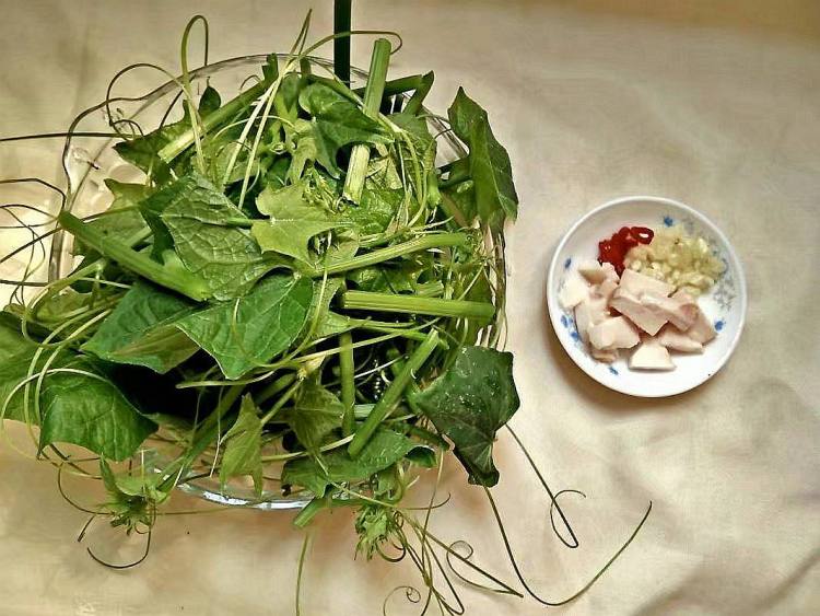 蒜蓉辣炒龙须菜步骤2