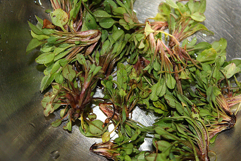 野菜面条步骤2