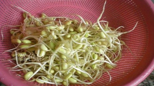自家的黄豆芽步骤2