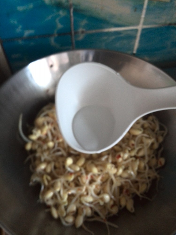 自家的黄豆芽步骤5