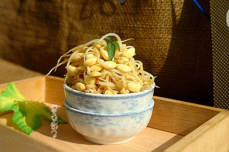 自家的黄豆芽步骤8
