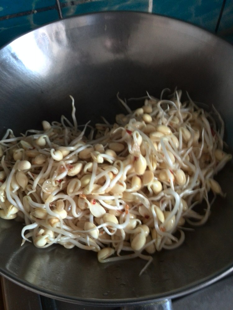 自家的黄豆芽步骤4