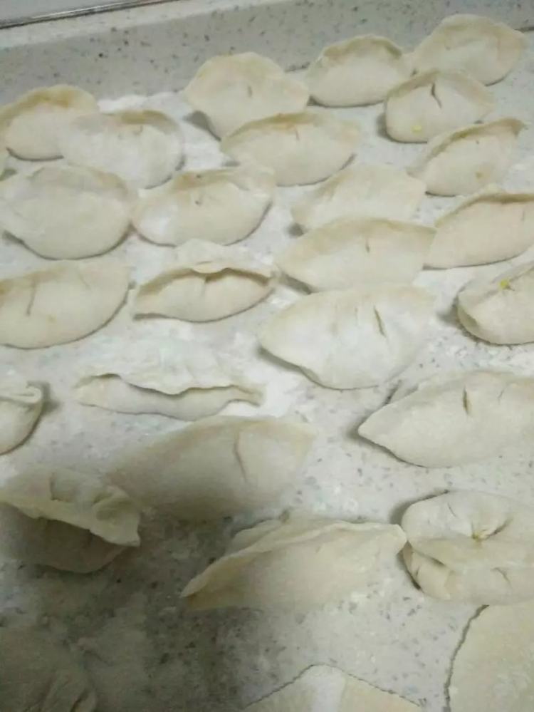 蒜黄肉饺子步骤7