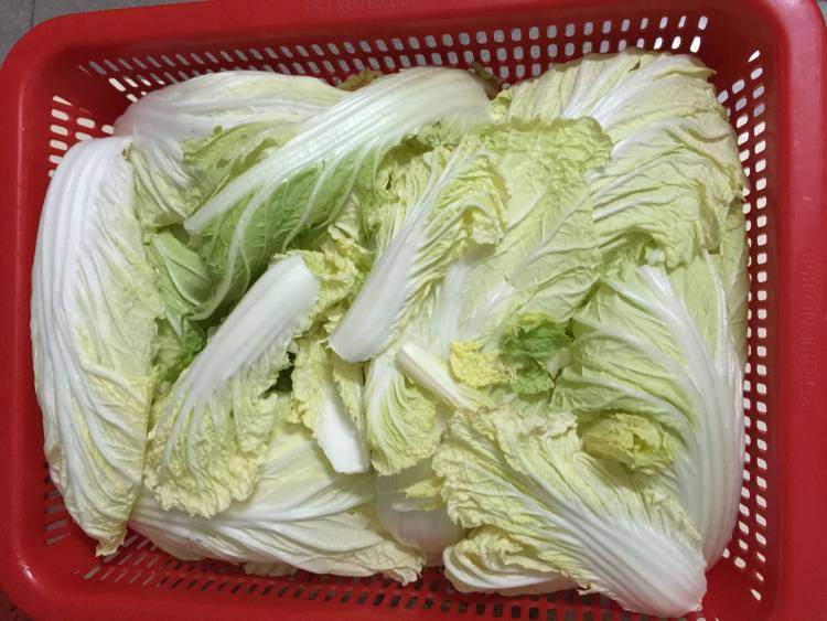 自制冬菜步骤1