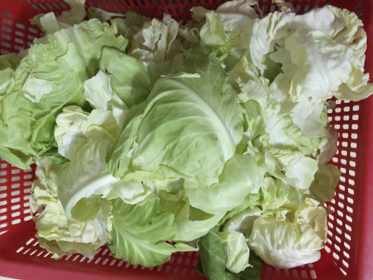 自制冬菜步骤2
