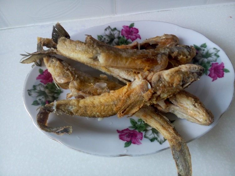 海鲶鱼炖豆腐步骤1