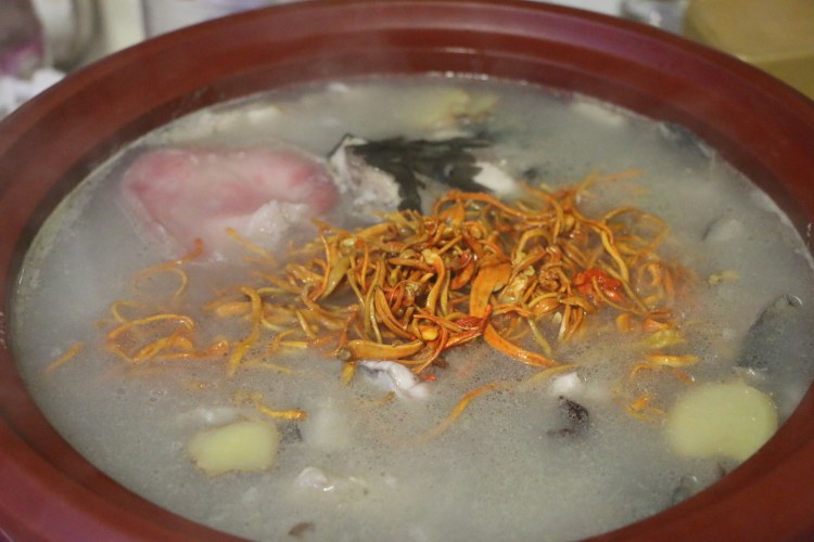 鮰鱼虫草花汤步骤8