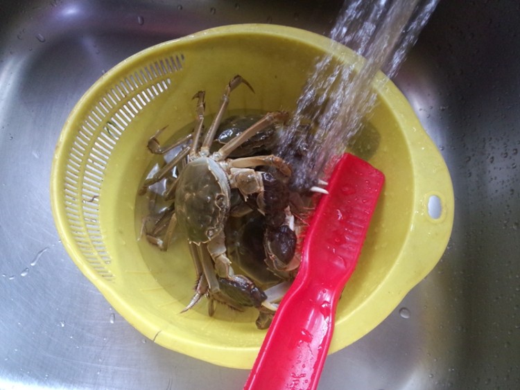 酱油蟹步骤3