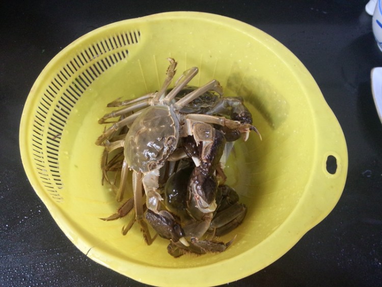 酱油蟹步骤1