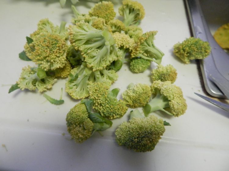 西兰花烧排骨步骤1