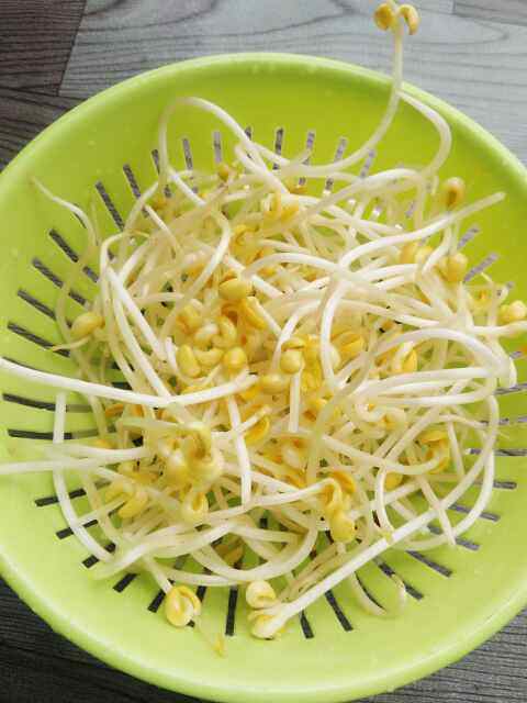 豆芽炒蛋步骤1