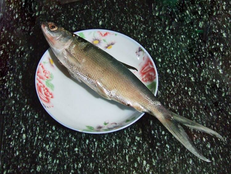 清蒸虱目鱼步骤1