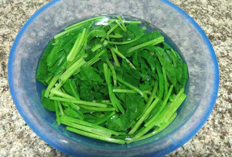 虾米拌菠菜步骤5