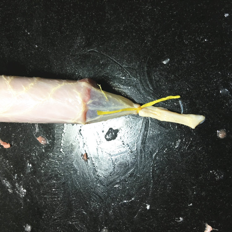 黑椒脆皮肠步骤8