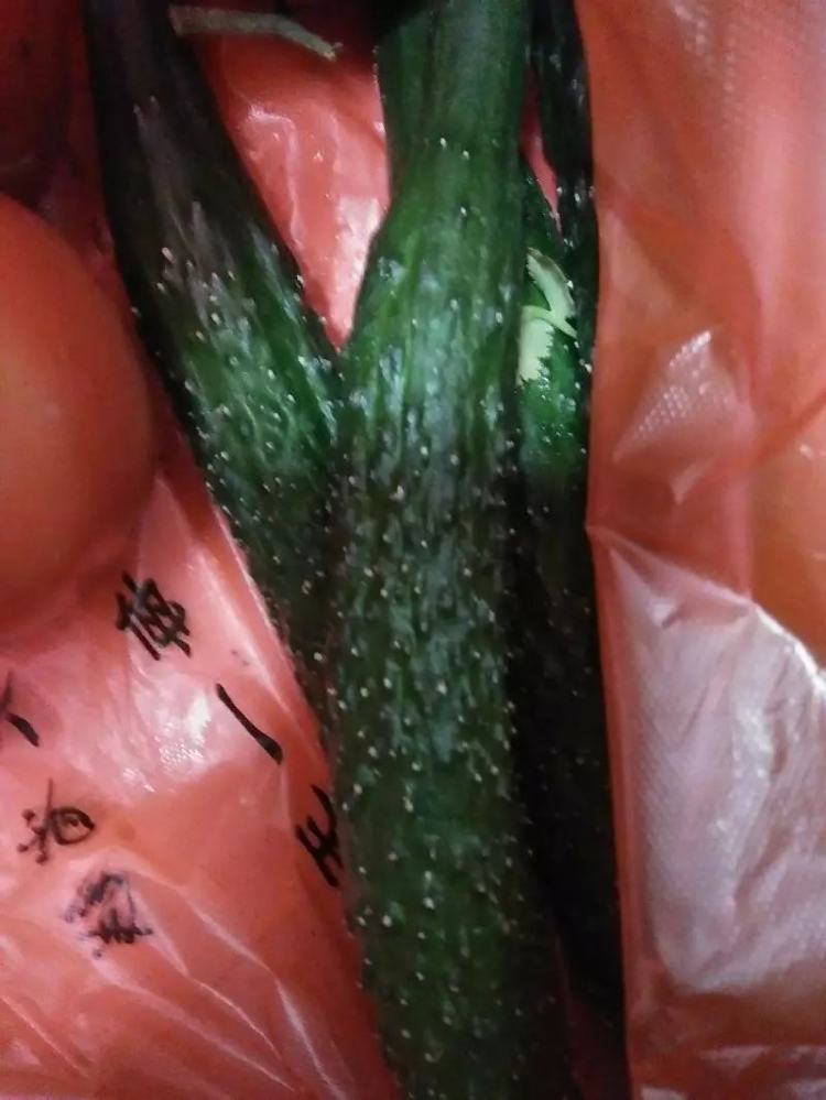 凉拌黄瓜海蜇#本味家步骤1