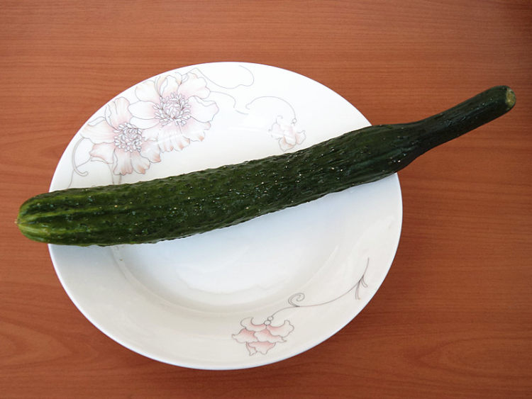 海蜇拌黄瓜#本味家乡步骤2