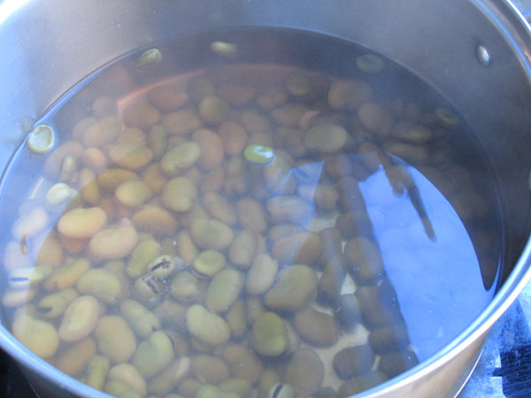 盐水蚕豆步骤5