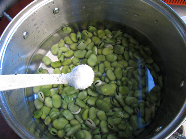 盐水蚕豆步骤4