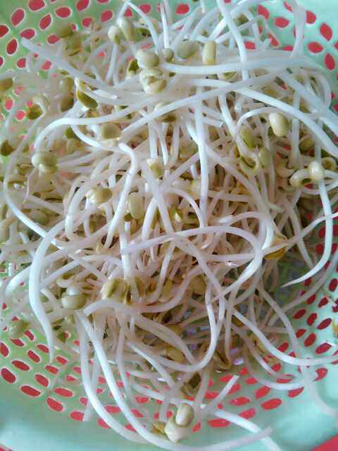 油渣炒豆芽步骤1