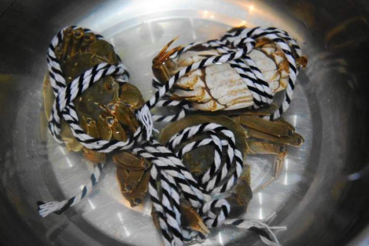 干煎大闸蟹步骤3