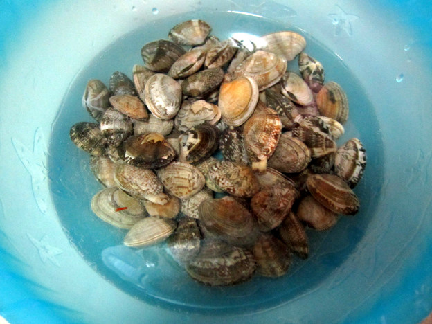 豆瓣辣炒蛤蜊步骤1